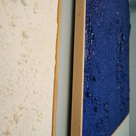 Casa Blue Fish *
